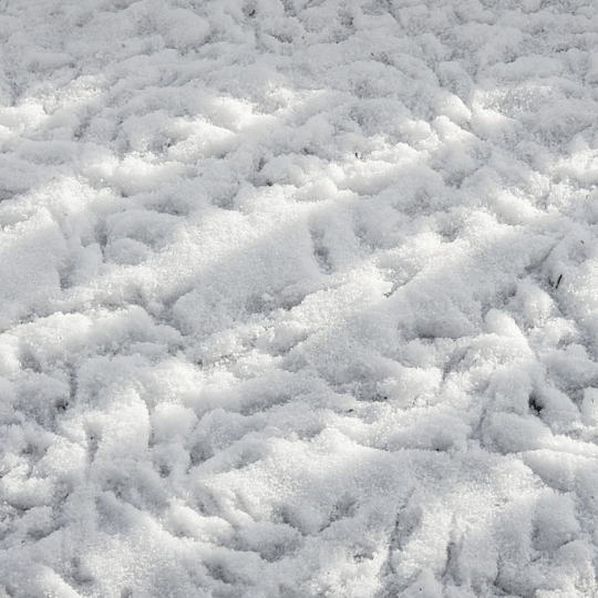 Close-up of bird footprints in fresh snow / Photo by Keisha E. McKenzie